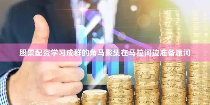 股票配资学习成群的角马聚集在马拉河边准备渡河